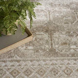 Nourison Dekor DEK01 Ivory Taupe Area Rug Texture Image