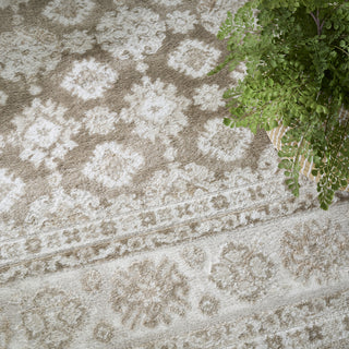 Nourison Dekor DEK02 Ivory Taupe Area Rug Texture Image