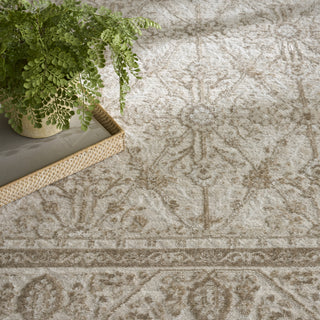 Nourison Dekor DEK03 Ivory Taupe Area Rug Texture Image