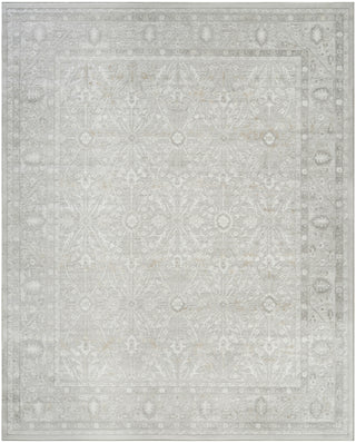 Nourison Dekor DEK03 Grey Area Rug Main Image