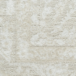 Nourison Dekor DEK03 Ivory Beige Area Rug Swatch Image