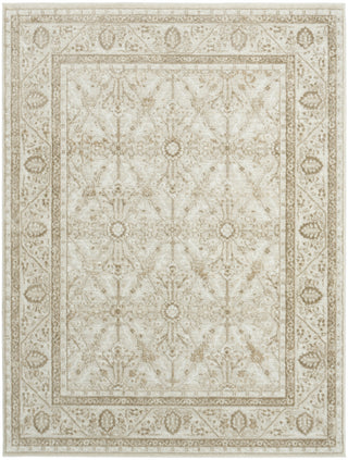 Nourison Dekor DEK03 Ivory Taupe Area Rug main image