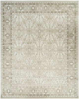 Nourison Dekor DEK03 Ivory Taupe Area Rug Main Image