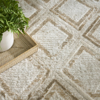Nourison Dekor DEK05 Ivory Taupe Area Rug Texture Image