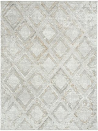 Nourison Dekor DEK05 Grey Area Rug Main Image