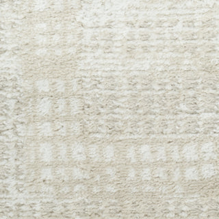 Nourison Dekor DEK06 Beige Area Rug Swatch Image