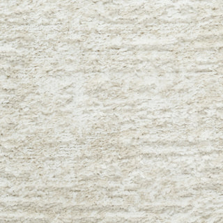 Nourison Dekor DEK07 Beige Area Rug Swatch Image