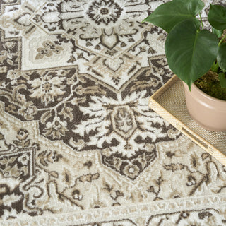 Nourison Dekor DEK08 Brown Ivory Area Rug Texture Image