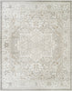 Nourison Dekor DEK08 Light Grey Area Rug main image