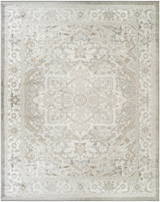 Nourison Dekor DEK08 Light Grey Area Rug main image