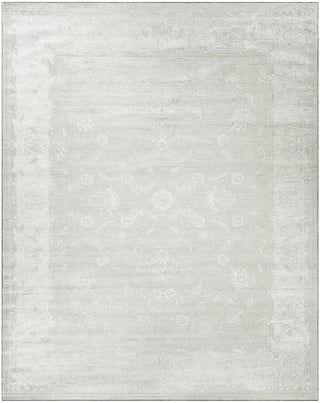Nourison Dekor DEK09 Light Grey Area Rug Main Image