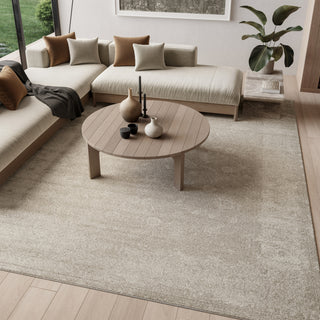 Nourison Dekor DEK09 Light Grey Area Rug Room Image Feature