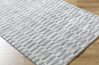 Livabliss Delight Shag DEL-2301 Light Silver Area Rug