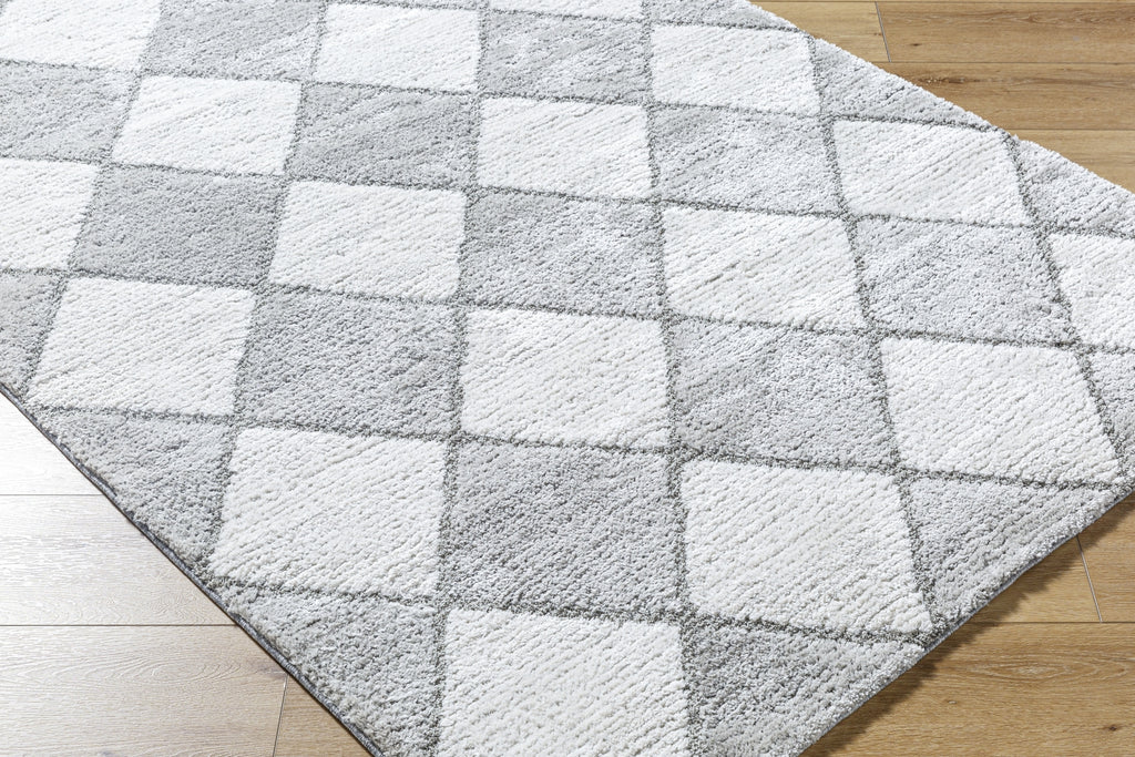 Livabliss Delight Shag DEL-2307 Light Silver Area Rug