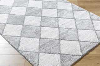 Livabliss Delight Shag DEL-2307 Light Silver Area Rug