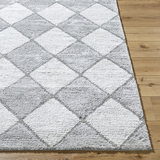 Livabliss Delight Shag DEL-2307 Light Silver Area Rug