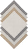 Colonial Mills Luxury Delano Big Sur Haze Area Rug