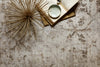 Loloi Delphi DL-01 Silver/Bark Area Rug Lifestyle Image Feature