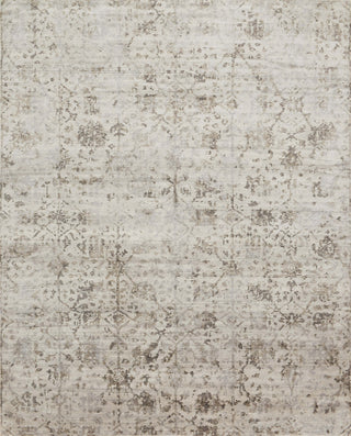 Loloi Delphi DL-01 Silver/Bark Area Rug Main Image