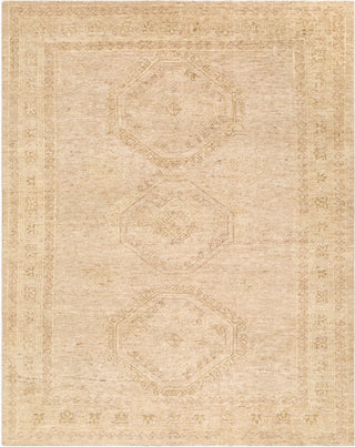 Surya Destiny DEY-2300 Area Rug main image
