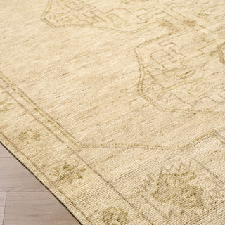 Surya Destiny DEY-2301 Area Rug Corner Shot