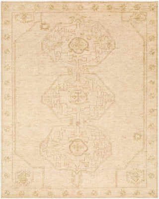 Surya Destiny DEY-2301 Area Rug main image