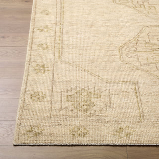 Surya Destiny DEY-2301 Area Rug Angle