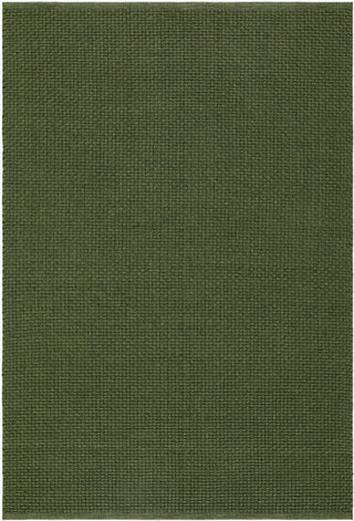 Surya Driftwood DFO-2303 Area Rug main image