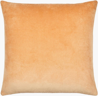 Surya Digby DIG-010 Light Brown 