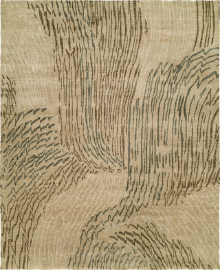 Ancient Boundaries Divine Wind DIV-08 Area Rug Main Image