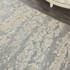 Nourison Divine DIV09 Sand Storm Area Rug Room Image Feature
