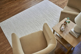 Nourison Divine DIV11 Ivory Area Rug by Reserve Collection