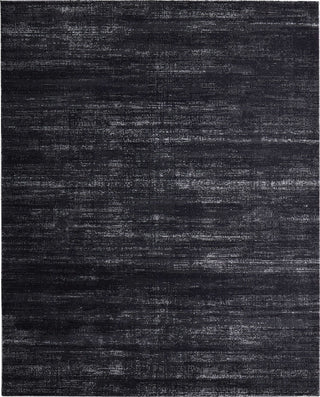 Feizy Deja 39PJF Black/Silver/Gray Area Rug main image