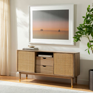 Surya Dalma DLM-003 Brown / Furniture Style Shot