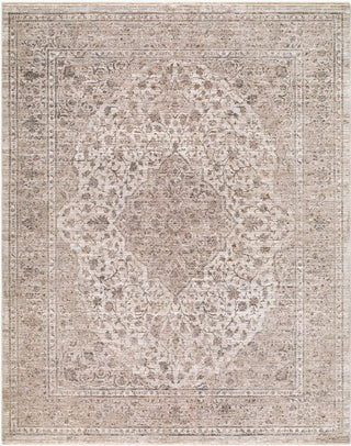 Livabliss Demre DMM-2306 Area Rug main image