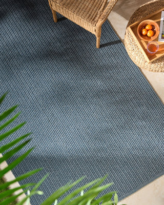 Surya Denizli DNZ-2301 Slate Gray Area Rug Room Scene