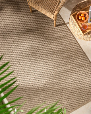 Surya Denizli DNZ-2302 Taupe Area Rug Room Scene