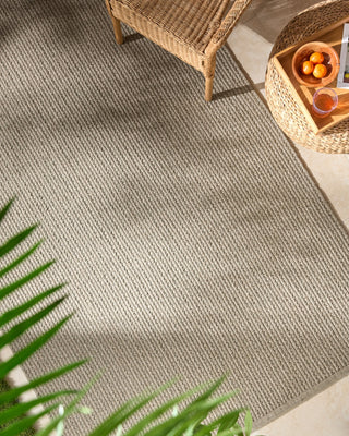 Surya Denizli DNZ-2303 Taupe Area Rug Room Scene