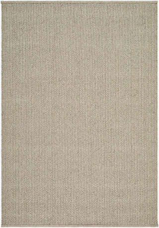 Surya Denizli DNZ-2303 Taupe Area Rug main image