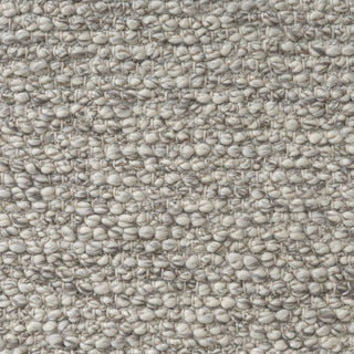 LR Home Dome 82585 Silver Area Rug Swatch Image