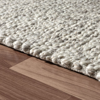 LR Home Dome 82585 Silver Area Rug Detail Image