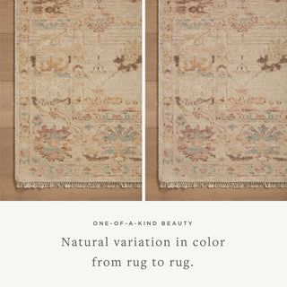 Loloi Dominic DOM-02 Blush/Taupe Area Rug Lifestyle Image Feature