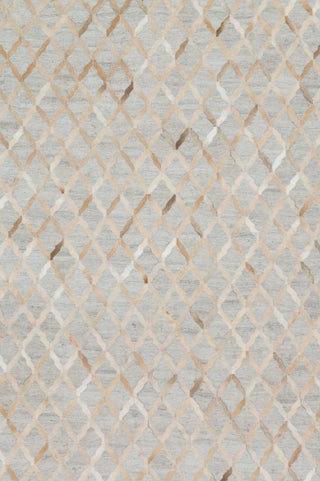 Loloi Dorado DB-04 Grey / Sand Area Rug main image