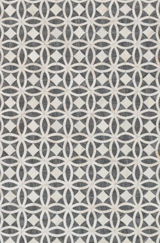 Loloi Dorado DB-06 Graphite / Ivory Area Rug Main Image