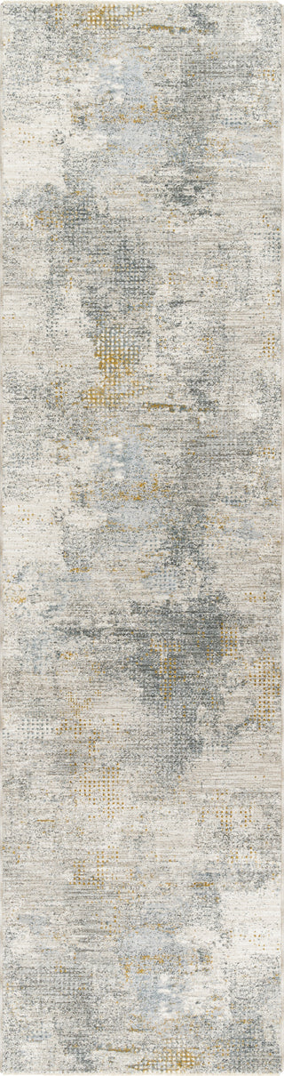 Surya Dresden DRE-2321 Area Rug 2'8'' X 10' Runner