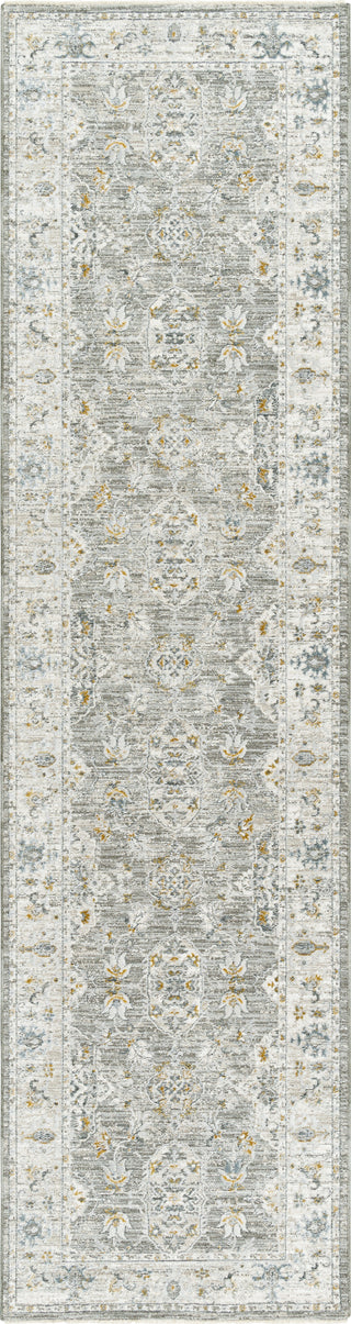 Surya Dresden DRE-2324 Area Rug 2'8'' X 10' Runner