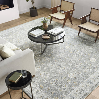 Surya Dresden DRE-2324 Area Rug Room Scene Featured