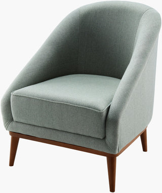 Surya Sandro DRO-001 Light Sage / Brown Furniture main image