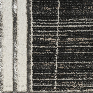 Nourison Desire DSR01 Charcoal/Silver Area Rug main image