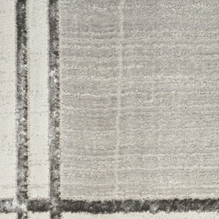 Nourison Desire DSR01 Grey Silver Area Rug Swatch Image